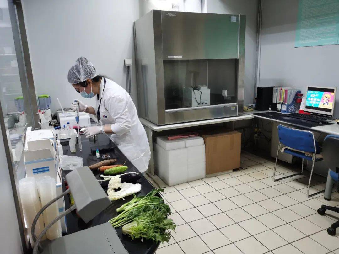新抚食品检测实验室装修方案